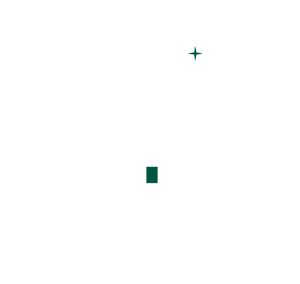 rockoli logo